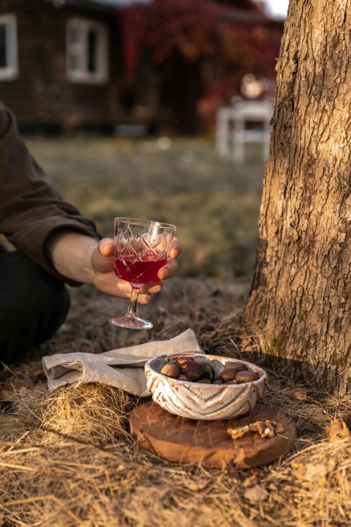 caquelon et baluchon, gîte histoire d'ardenne, ferme renaud, promenade, fromage, raclette, fondue, saucisson, jambon d'ardenne, automne, hiver, printemps, été, saison, bon temps