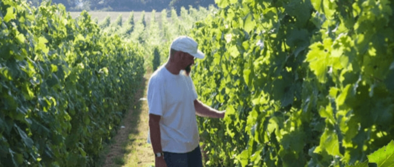 Lucien Gloden, vignoble gloden, schengen, caquelon et baluchon